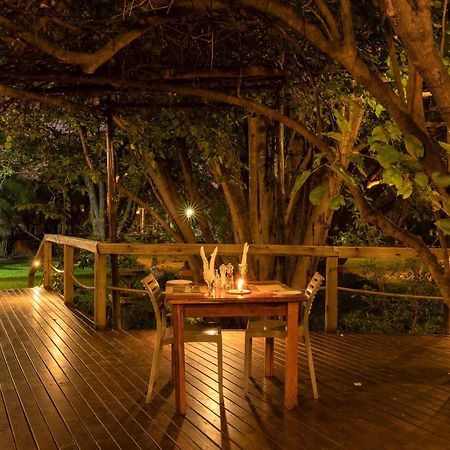 Sedia Riverside Hotel Maun Luaran gambar